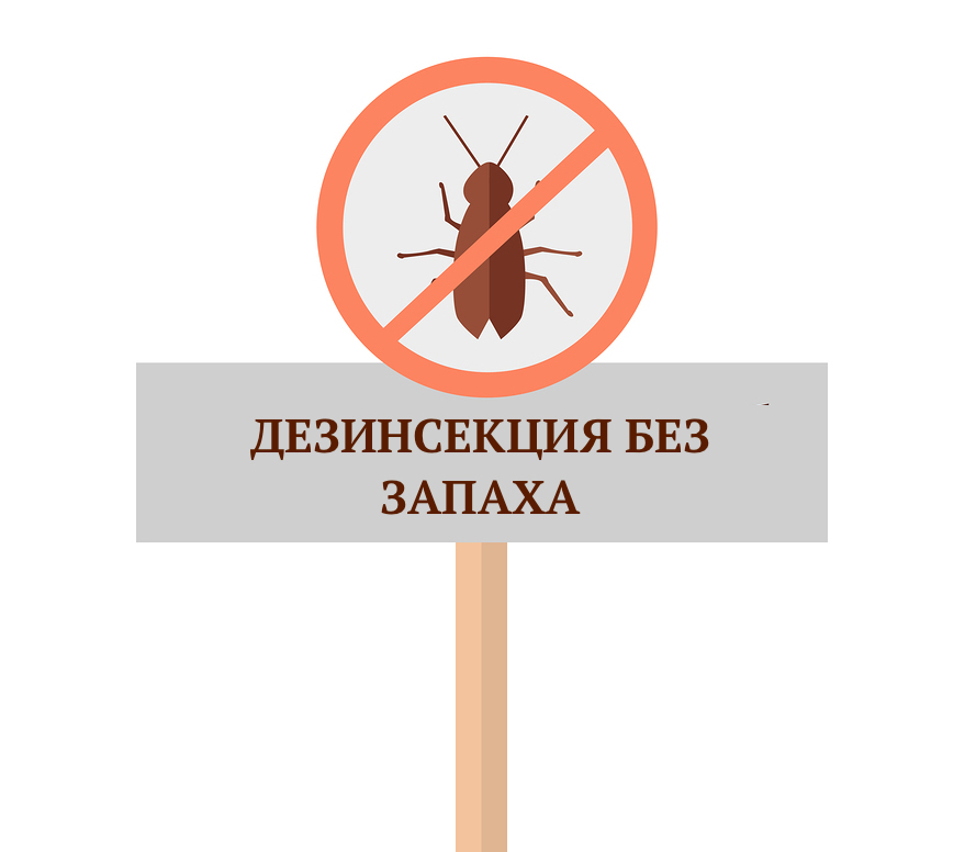 Дезинсекция без запаха в квартире